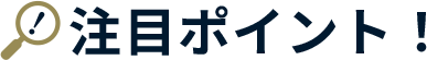 注目ポイント
